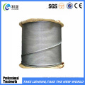 Stainless Steel Wire Rope / Cable